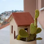 Apartment Rooftops *